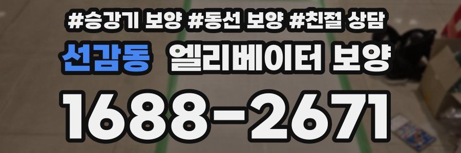 선감동 엘리베이터 보양