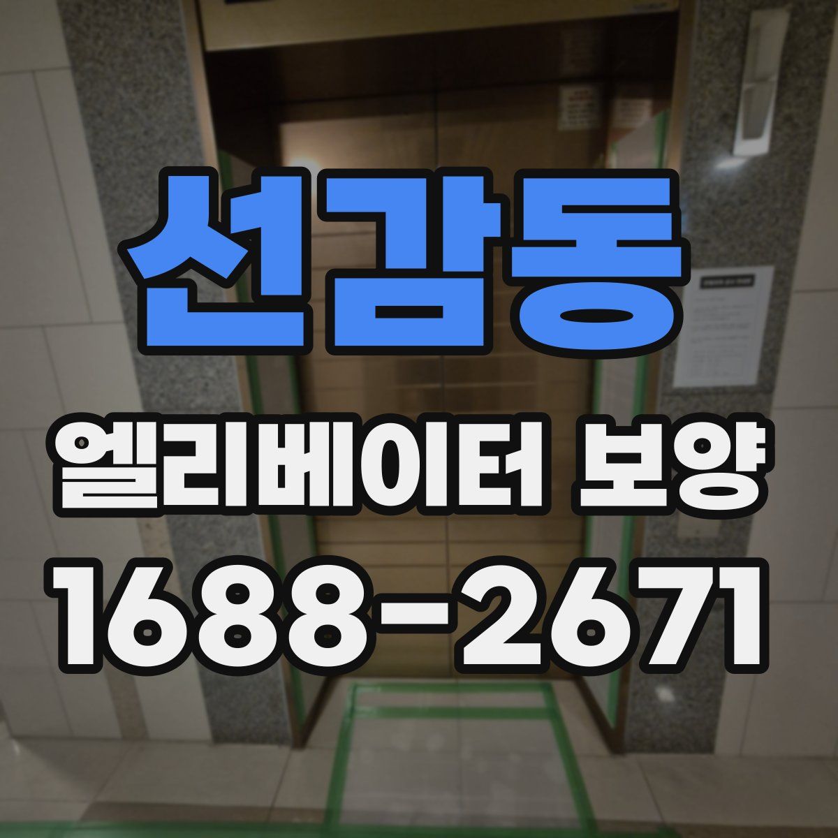 선감동 엘리베이터 보양
