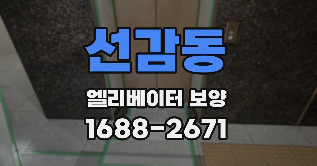선감동 엘리베이터 보양