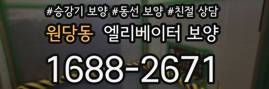 원당동 엘리베이터 보양