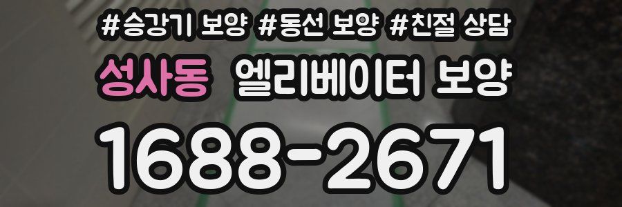 성사동 엘리베이터 보양