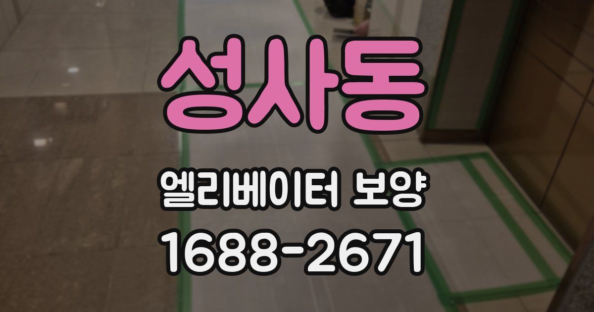성사동 엘리베이터 보양