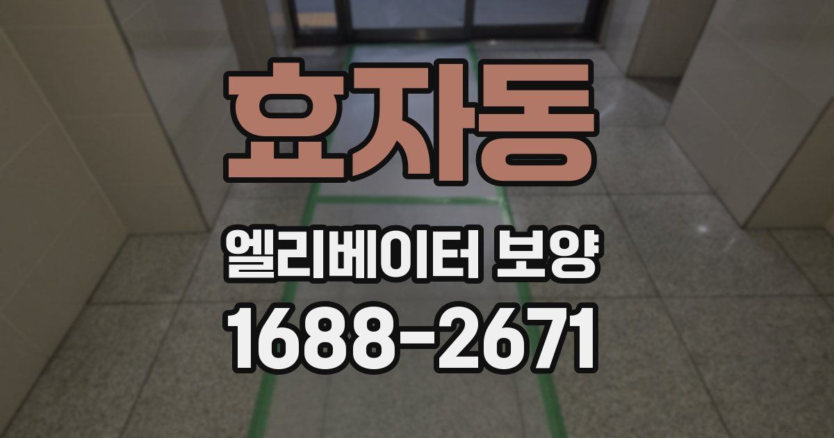 효자동 엘리베이터 보양
