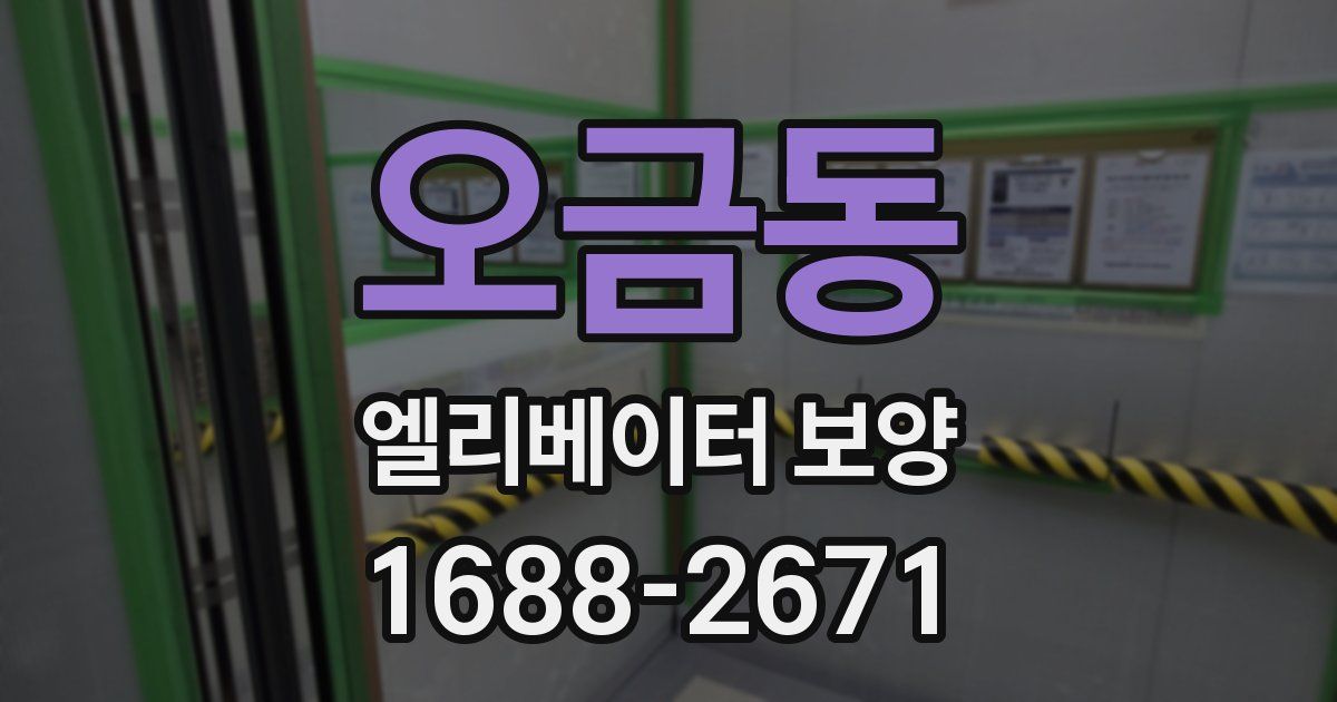 오금동 엘리베이터 보양