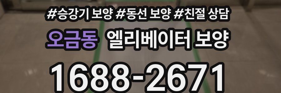 오금동 엘리베이터 보양