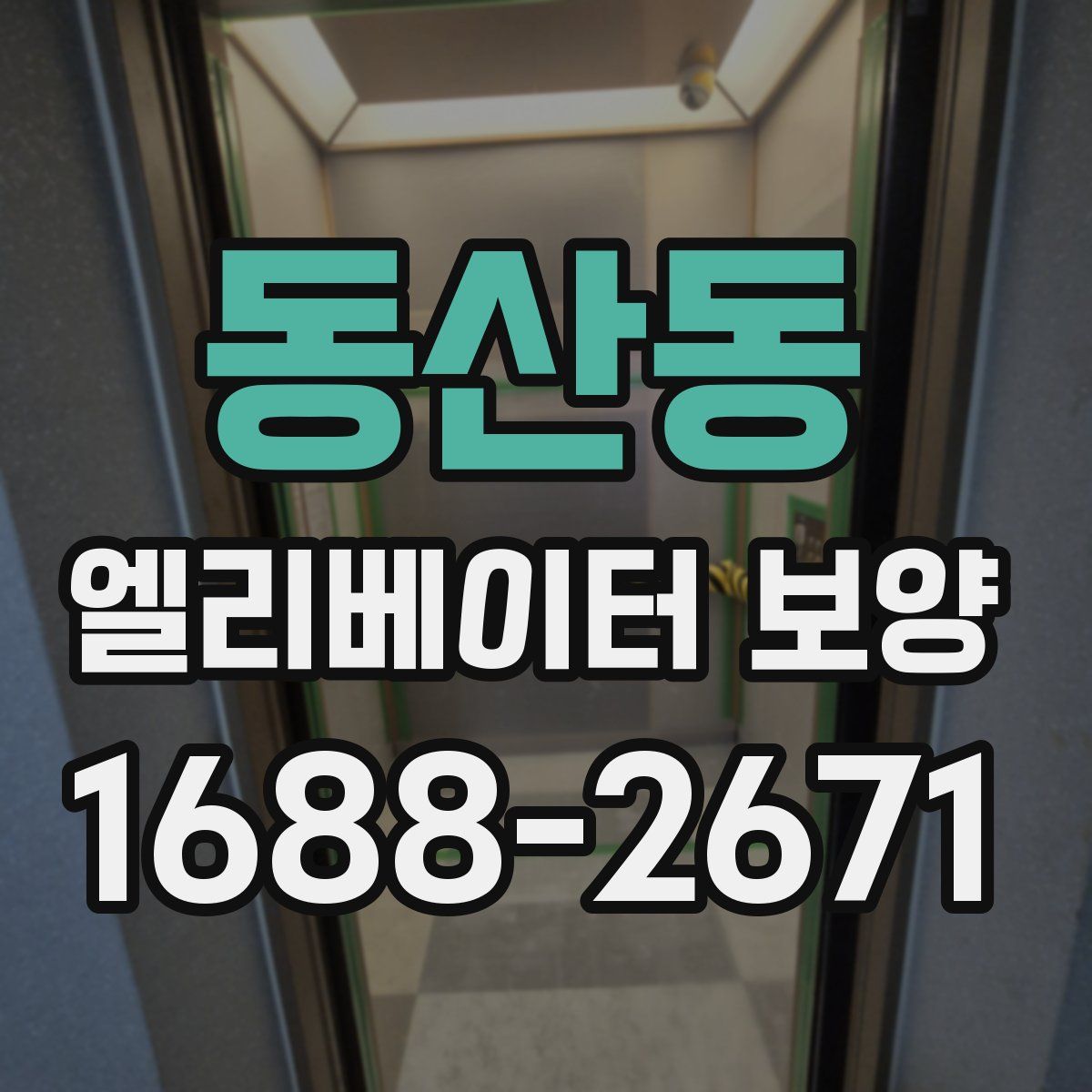 동산동 엘리베이터 보양