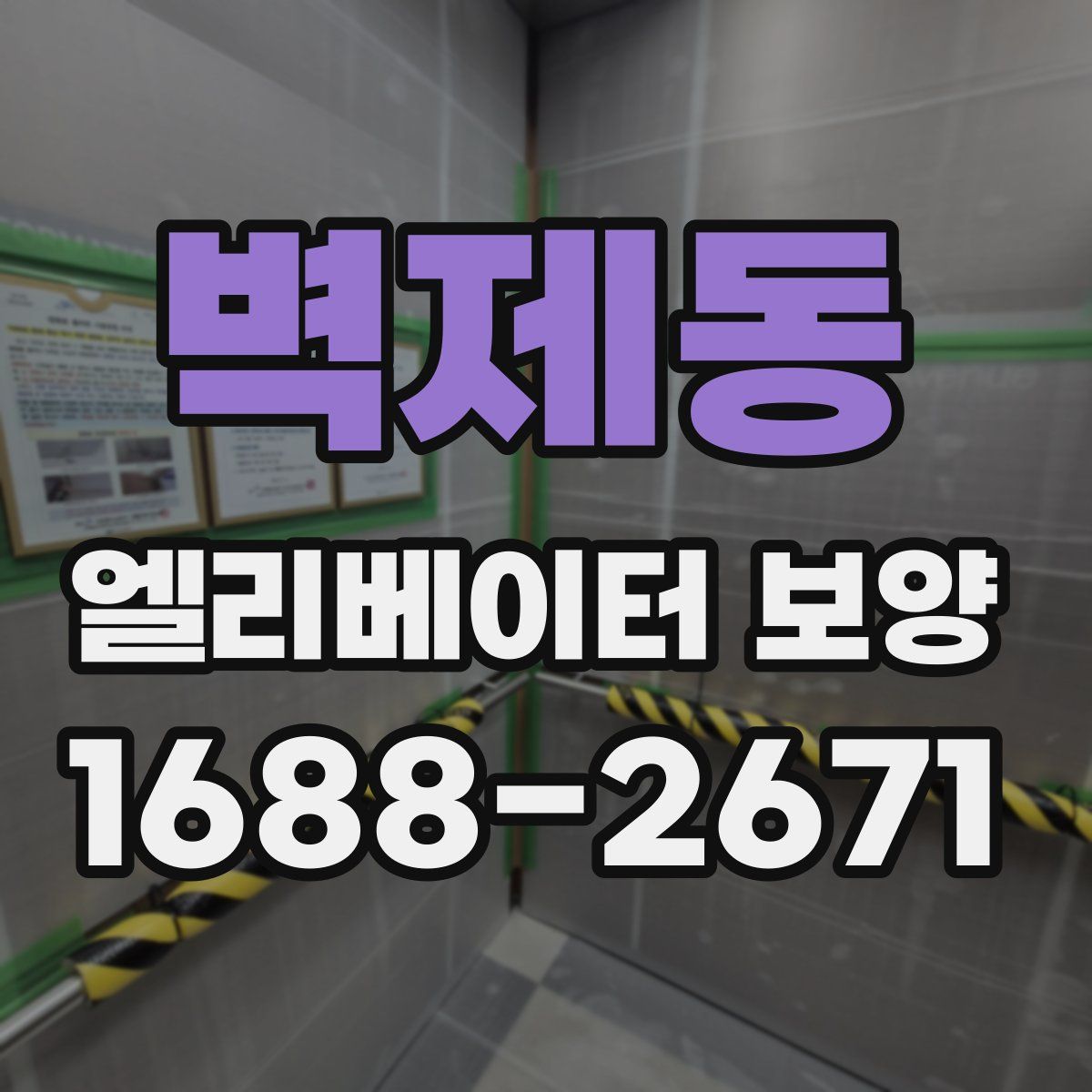 벽제동 엘리베이터 보양