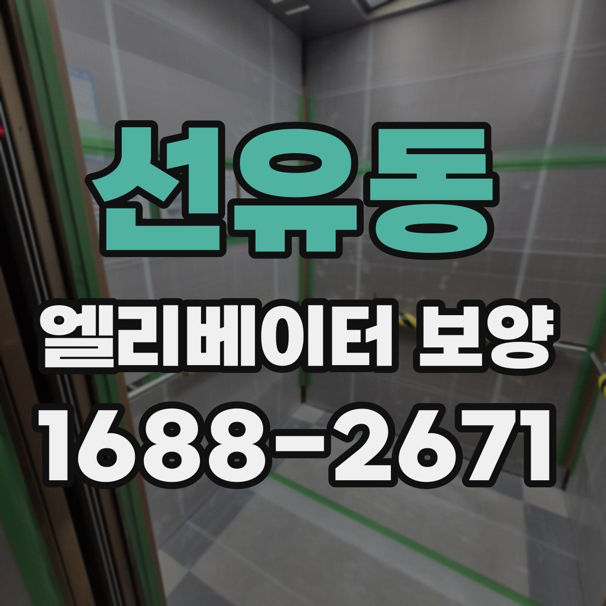 선유동 엘리베이터 보양