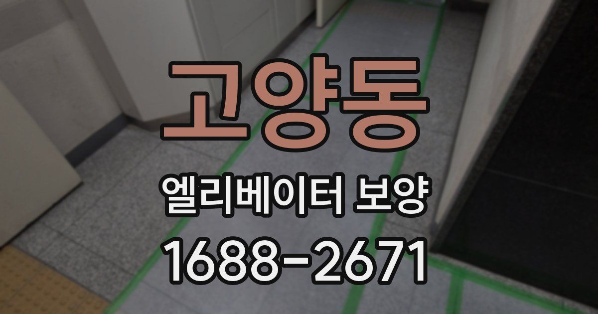 고양동 엘리베이터 보양