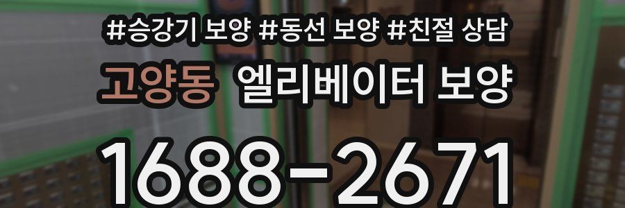 고양동 엘리베이터 보양