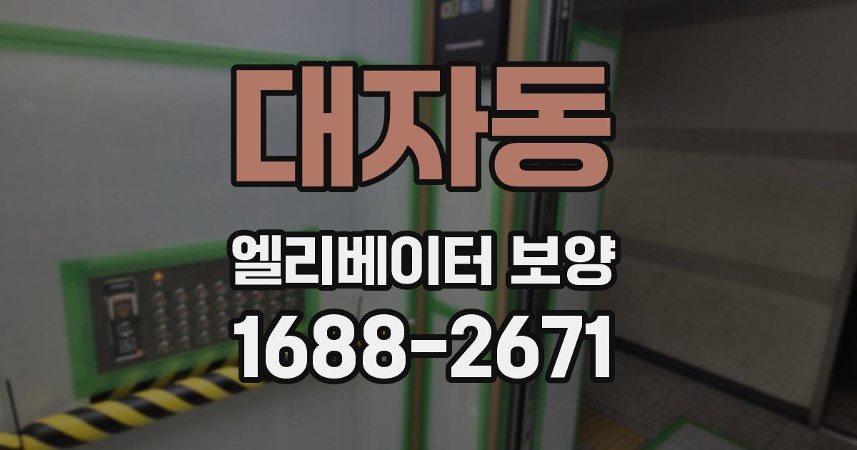대자동 엘리베이터 보양