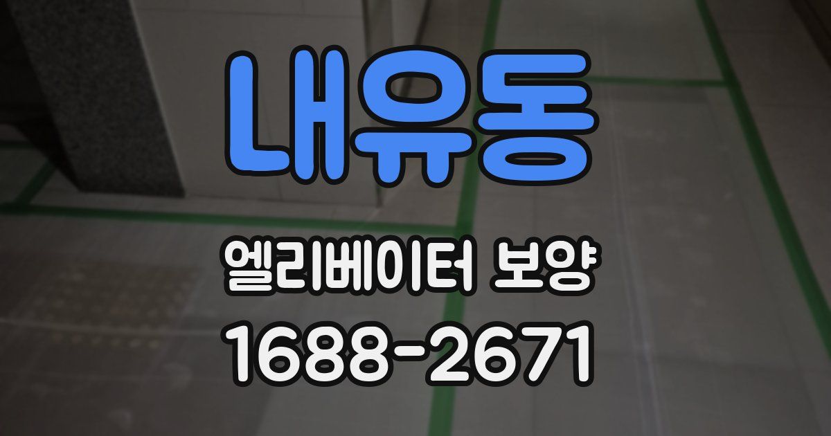 내유동 엘리베이터 보양