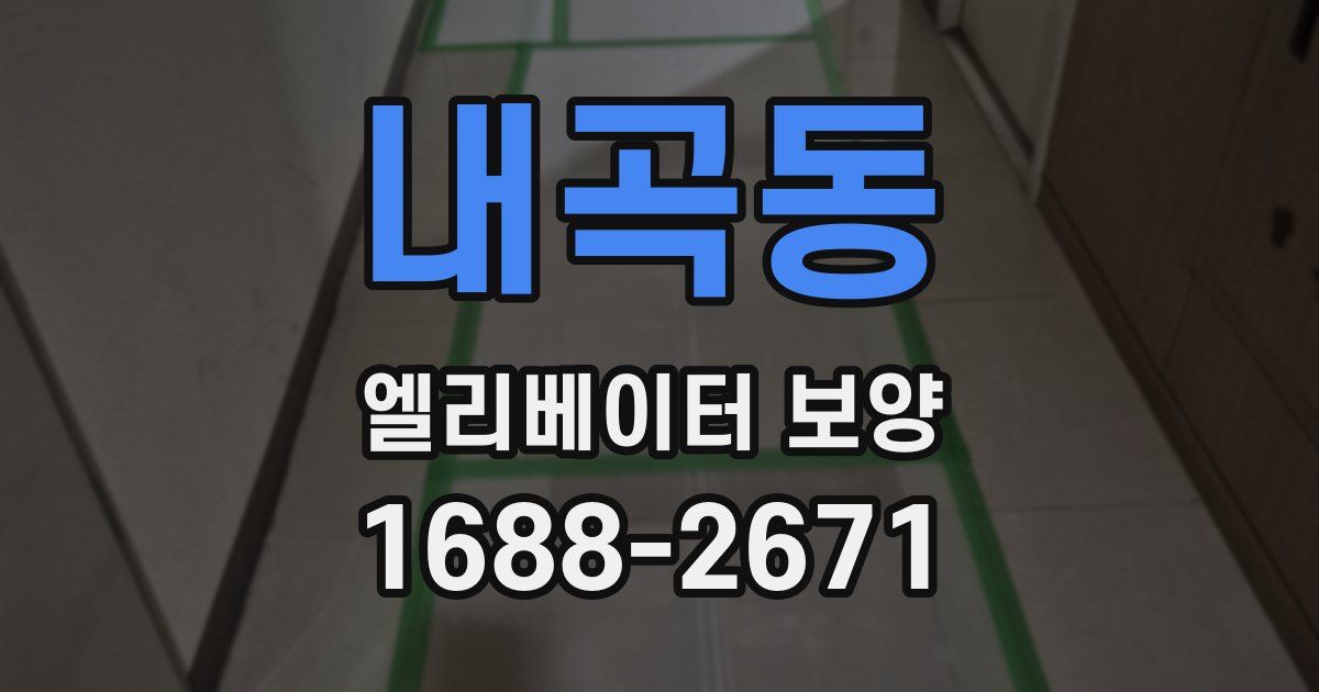 내곡동 엘리베이터 보양