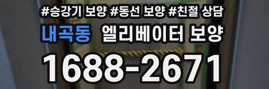 내곡동 엘리베이터 보양