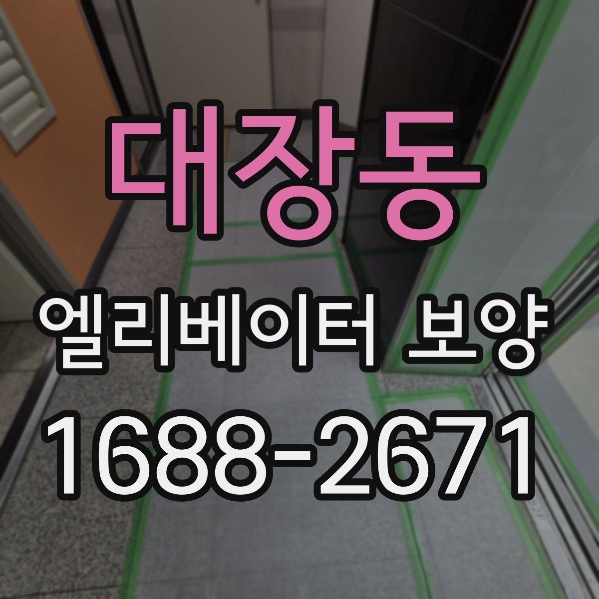 대장동 엘리베이터 보양