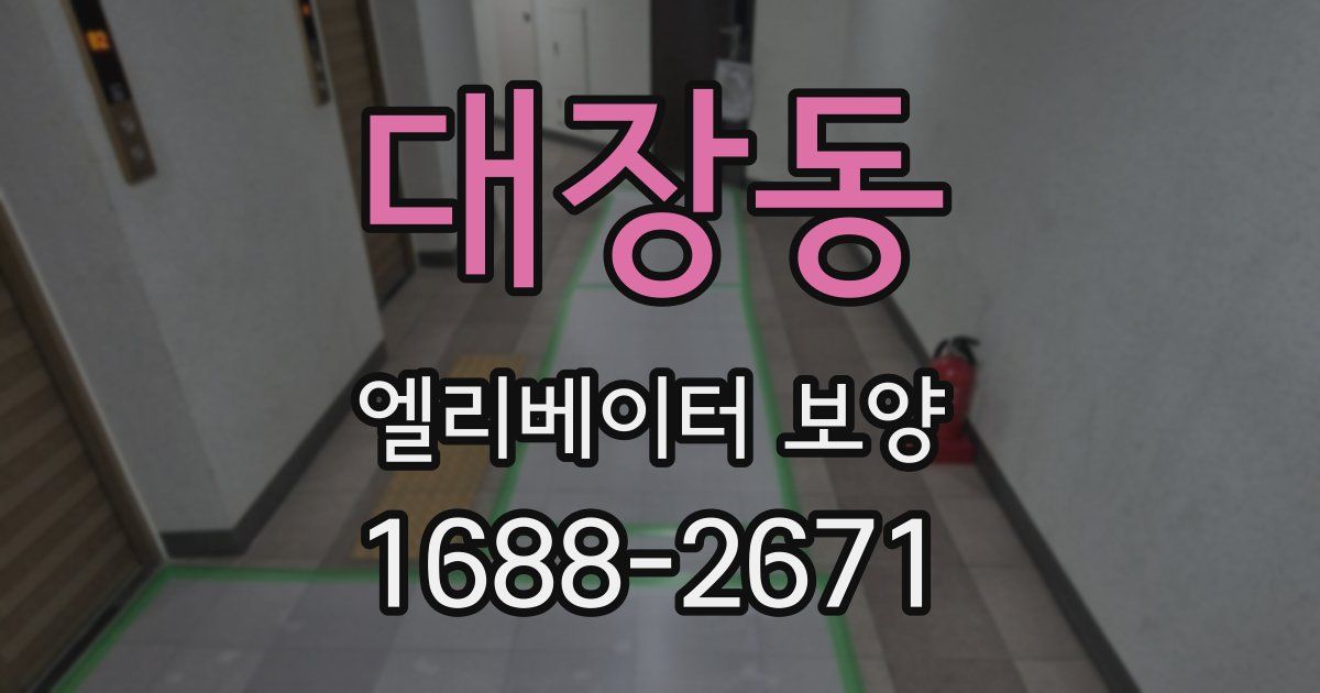 대장동 엘리베이터 보양