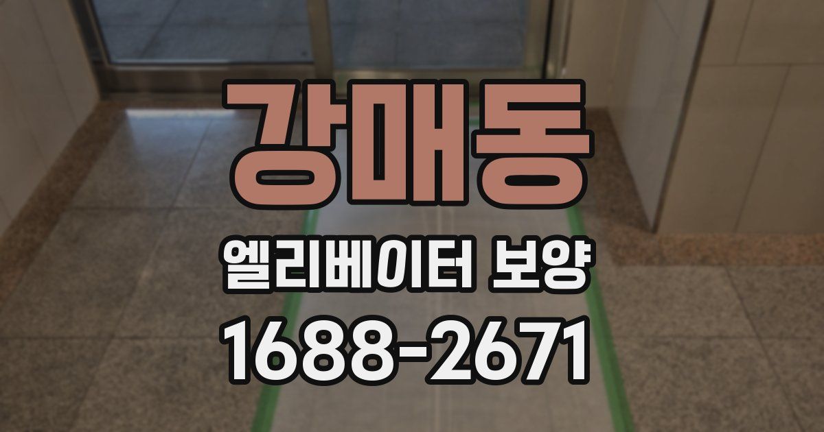 강매동 엘리베이터 보양