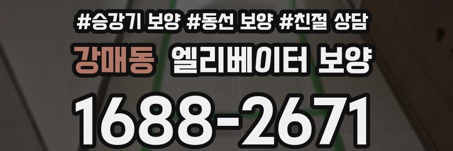 강매동 엘리베이터 보양