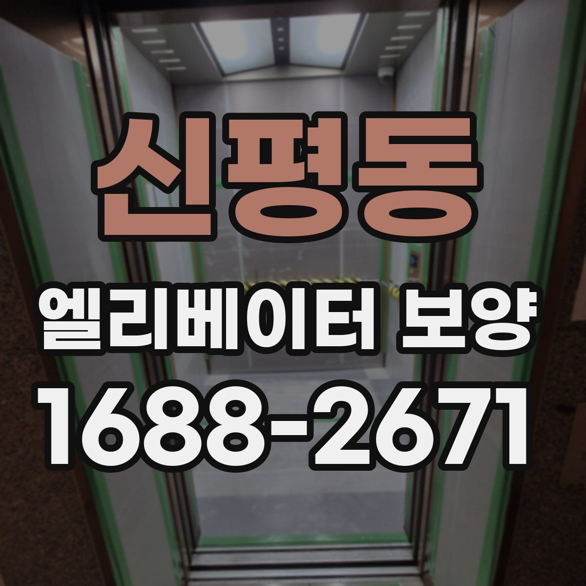 신평동 엘리베이터 보양