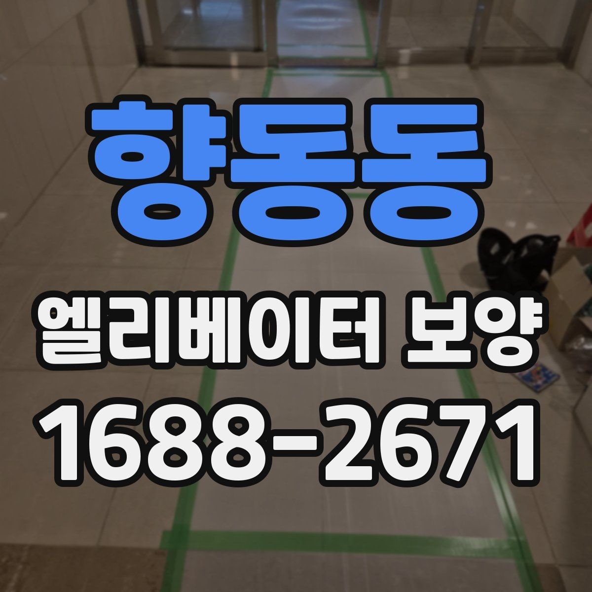 향동동 엘리베이터 보양 작업 범위를 정하는 기준