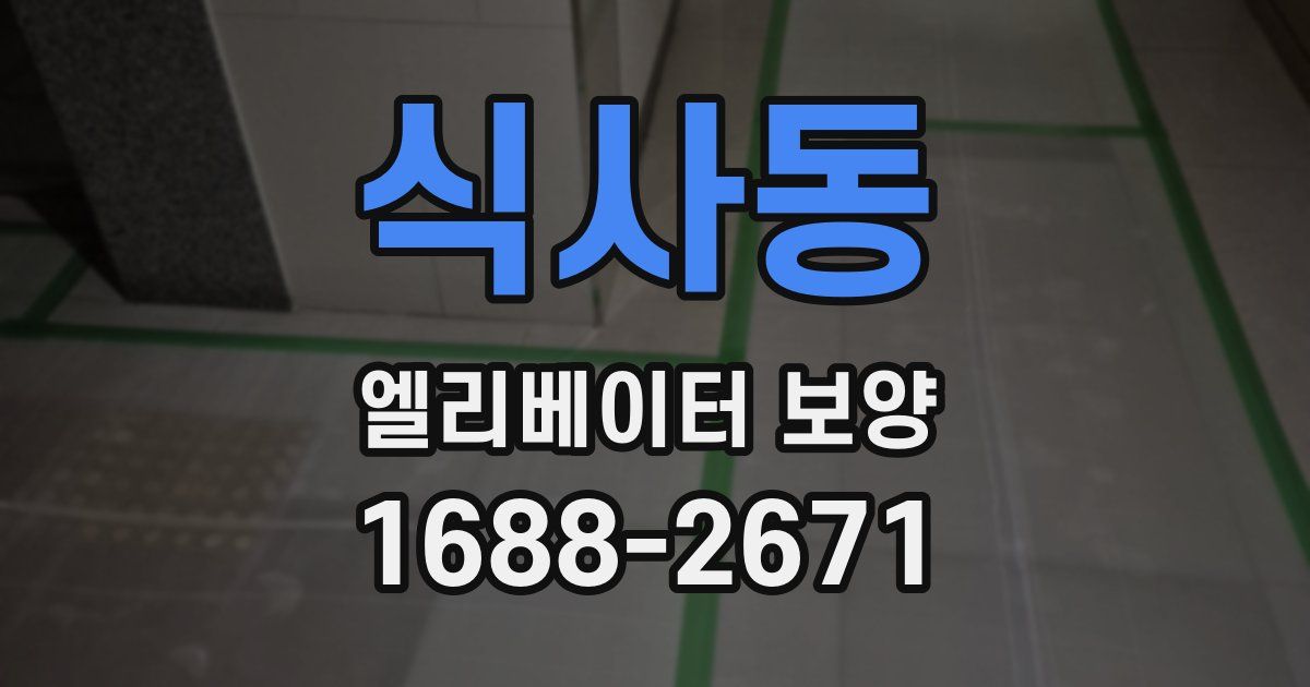 식사동 엘리베이터 보양