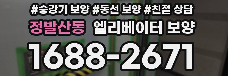정발산동 엘리베이터 보양