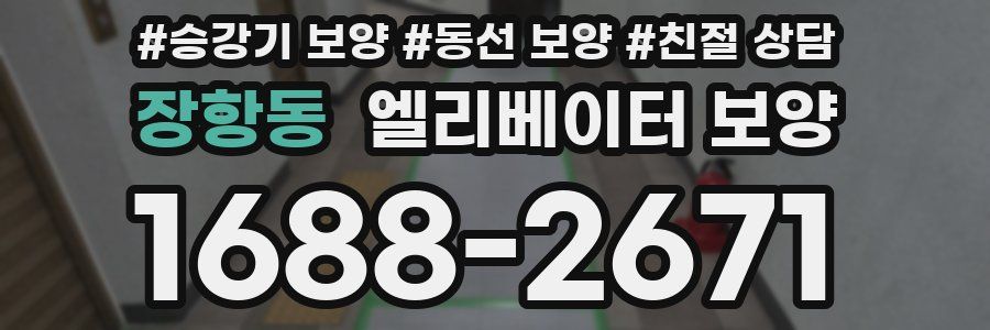 장항동 엘리베이터 보양