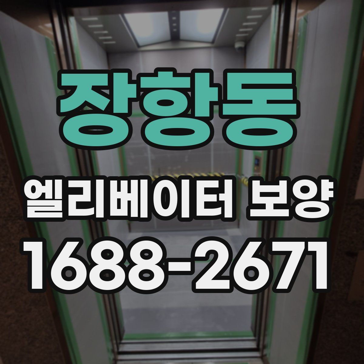 장항동 엘리베이터 보양