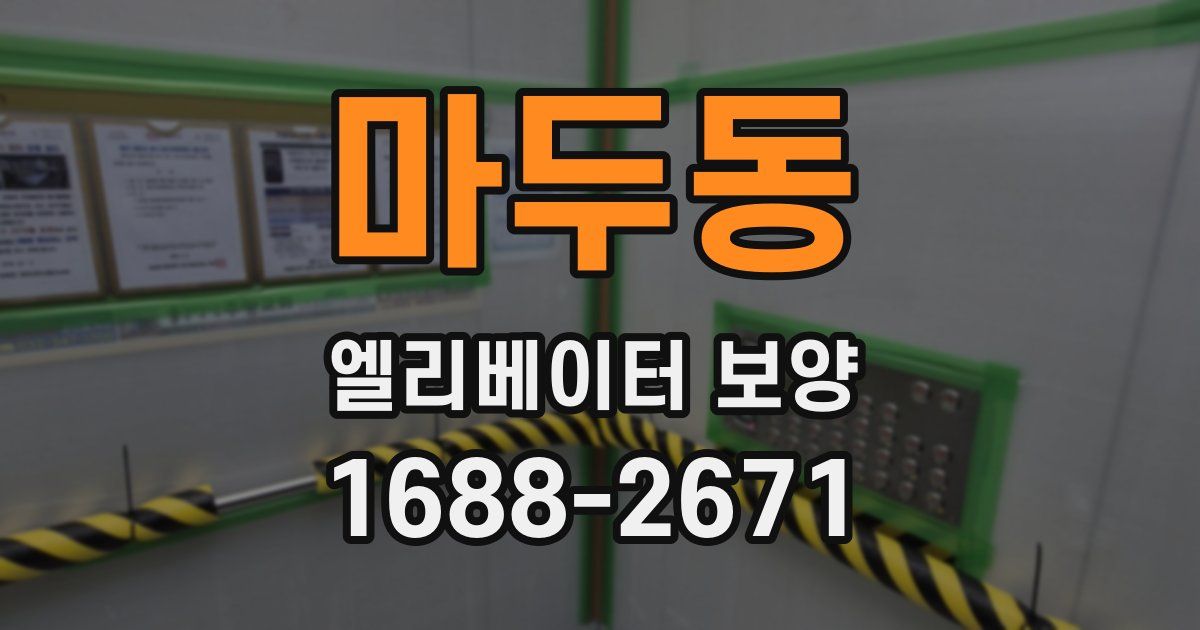 마두동 엘리베이터 보양