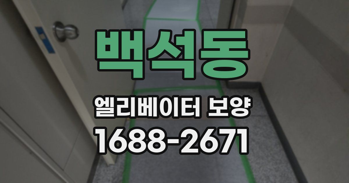 백석동 엘리베이터 보양