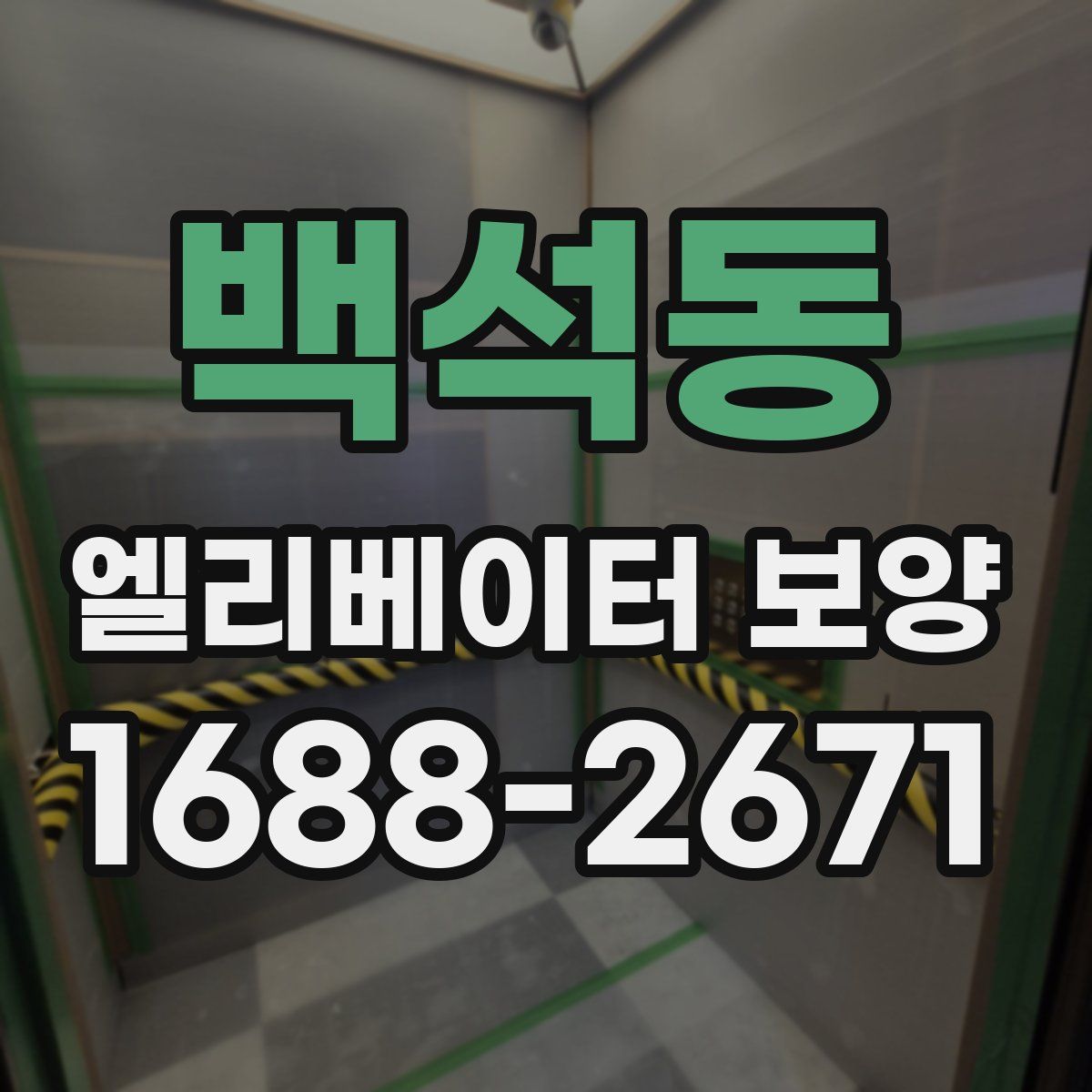 백석동 엘리베이터 보양