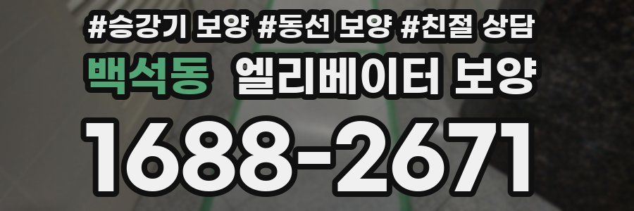 백석동 엘리베이터 보양