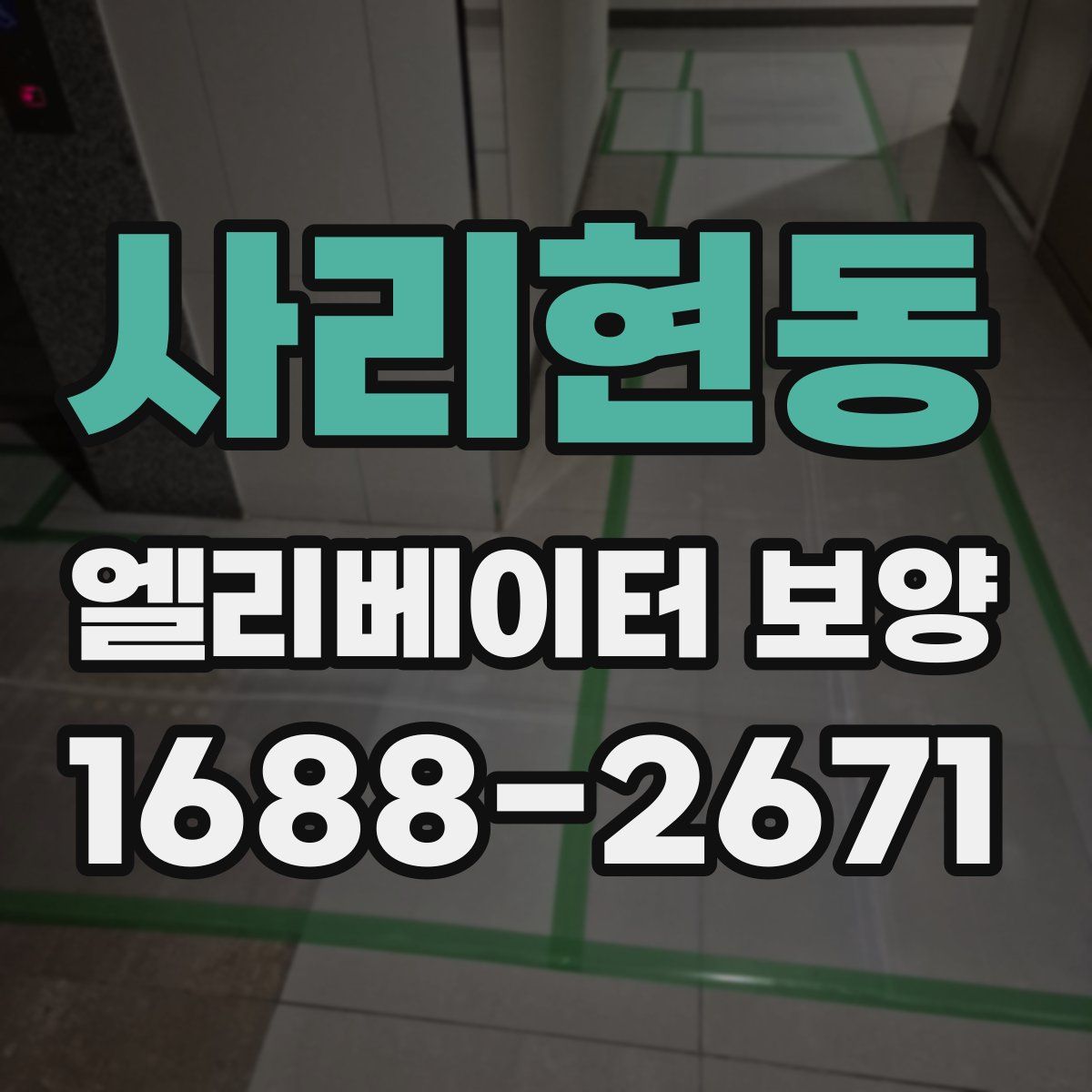 사리현동 엘리베이터 보양