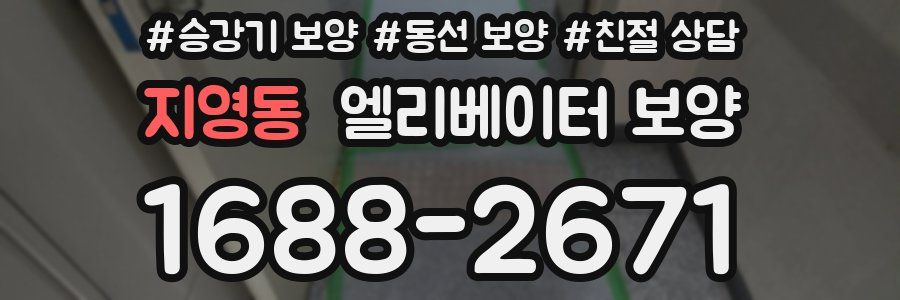 지영동 엘리베이터 보양