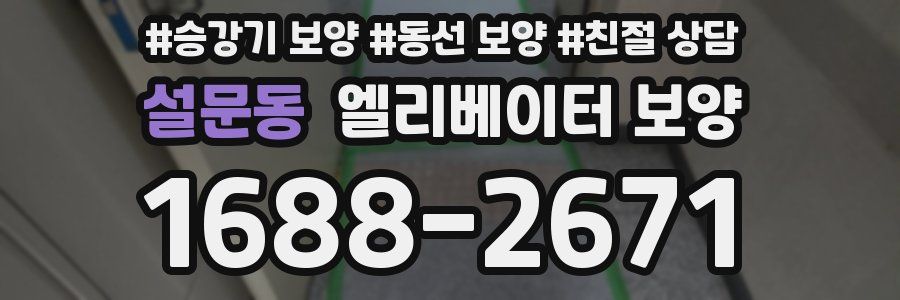 설문동 엘리베이터 보양