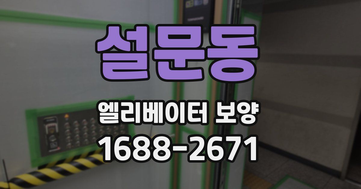 설문동 엘리베이터 보양