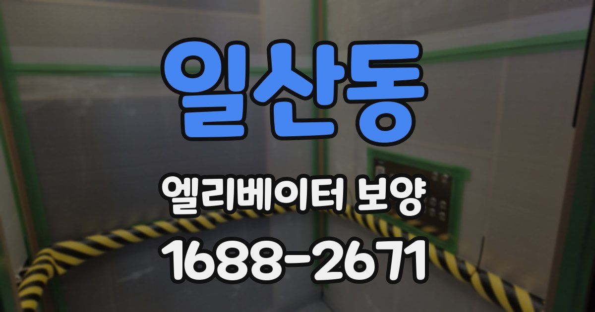 일산동 엘리베이터 보양