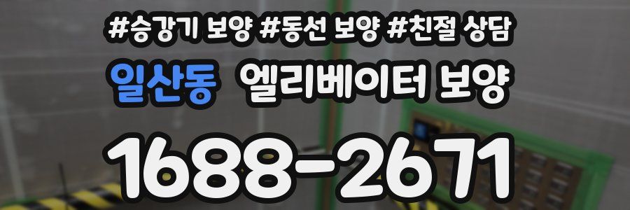 일산동 엘리베이터 보양