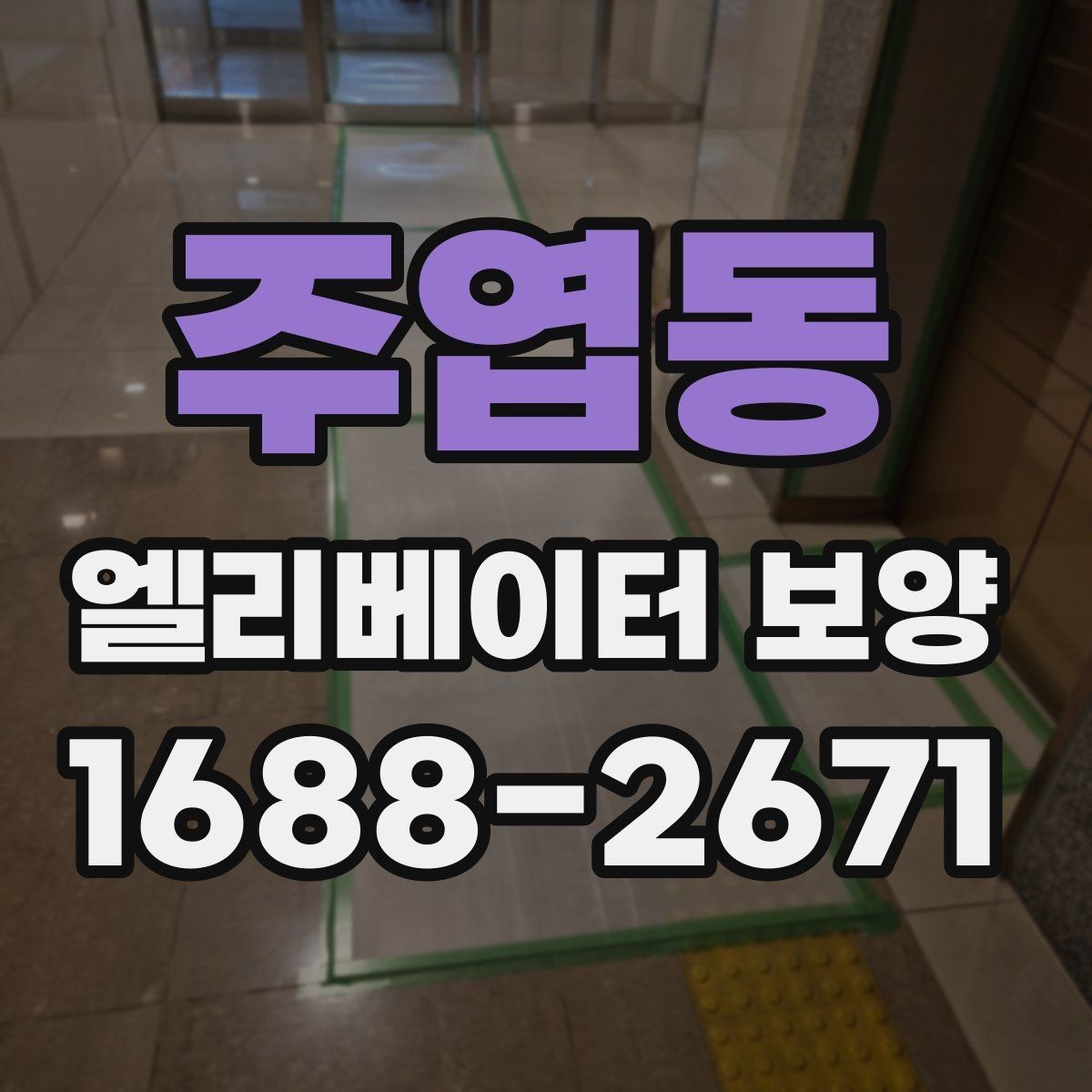 주엽동 엘리베이터 보양 재료별 장단점 살펴보기