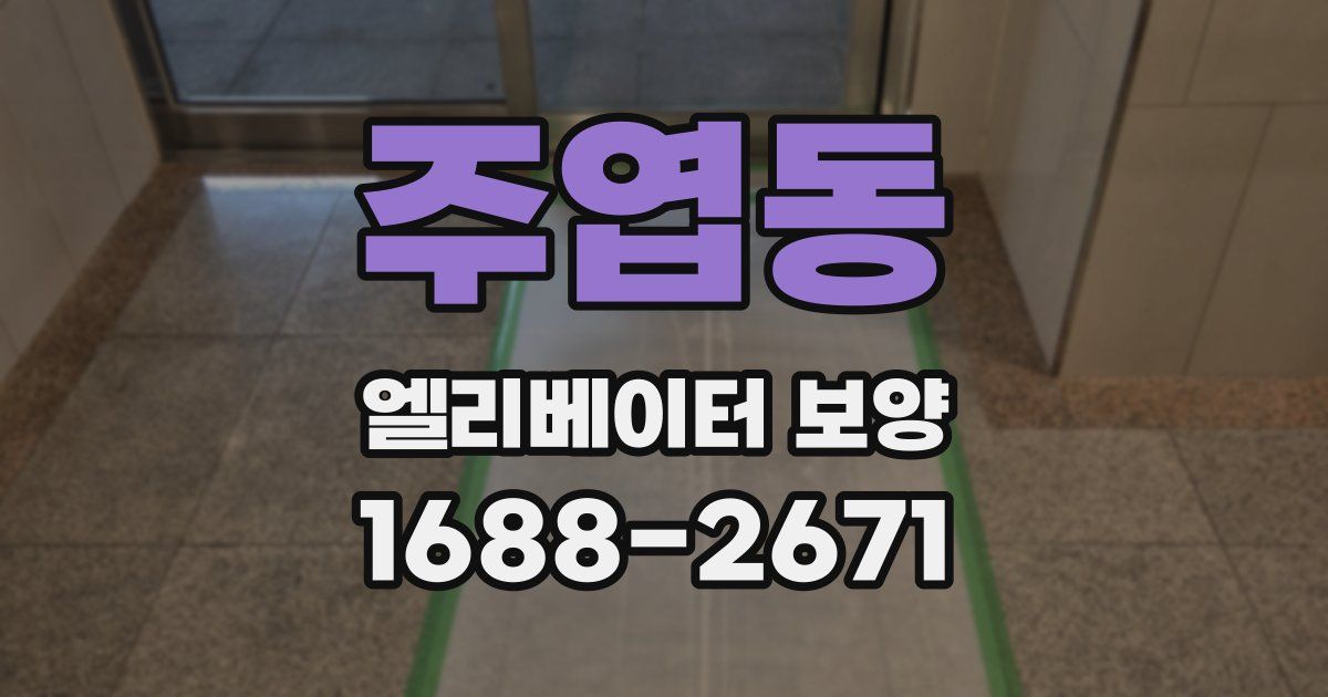 주엽동 엘리베이터 보양