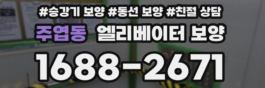 주엽동 엘리베이터 보양