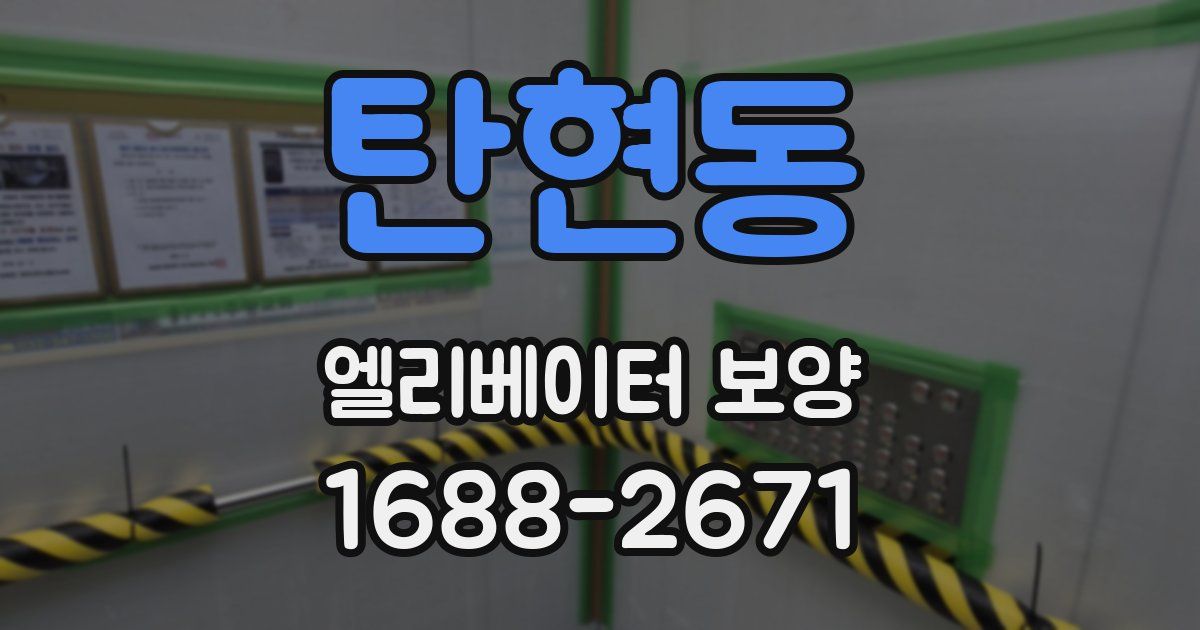 탄현동 엘리베이터 보양