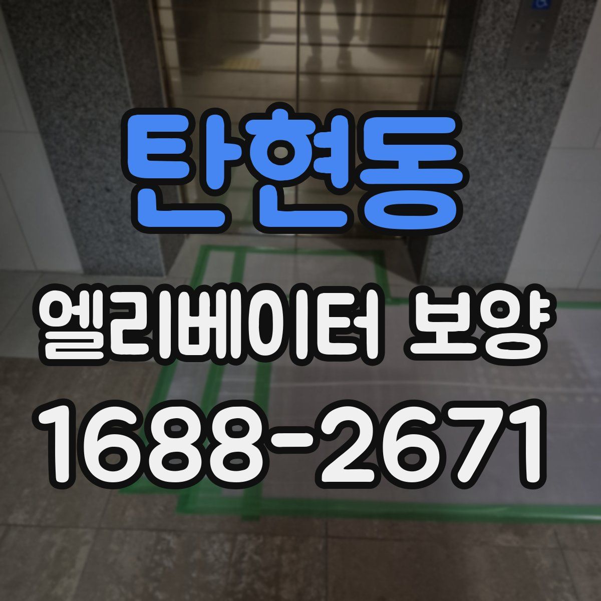 탄현동 엘리베이터 보양