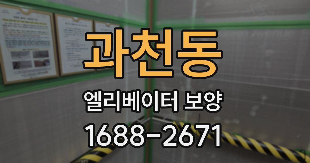 과천동 엘리베이터 보양