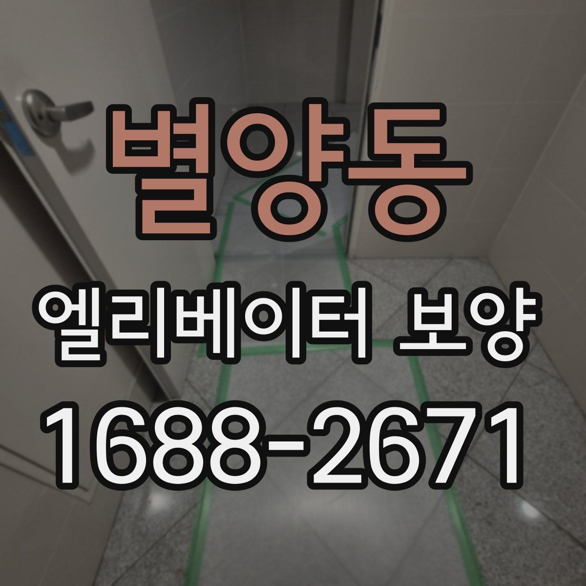 별양동 엘리베이터 보양