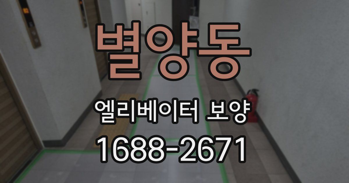 별양동 엘리베이터 보양