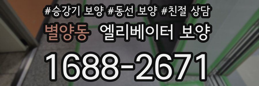 별양동 엘리베이터 보양