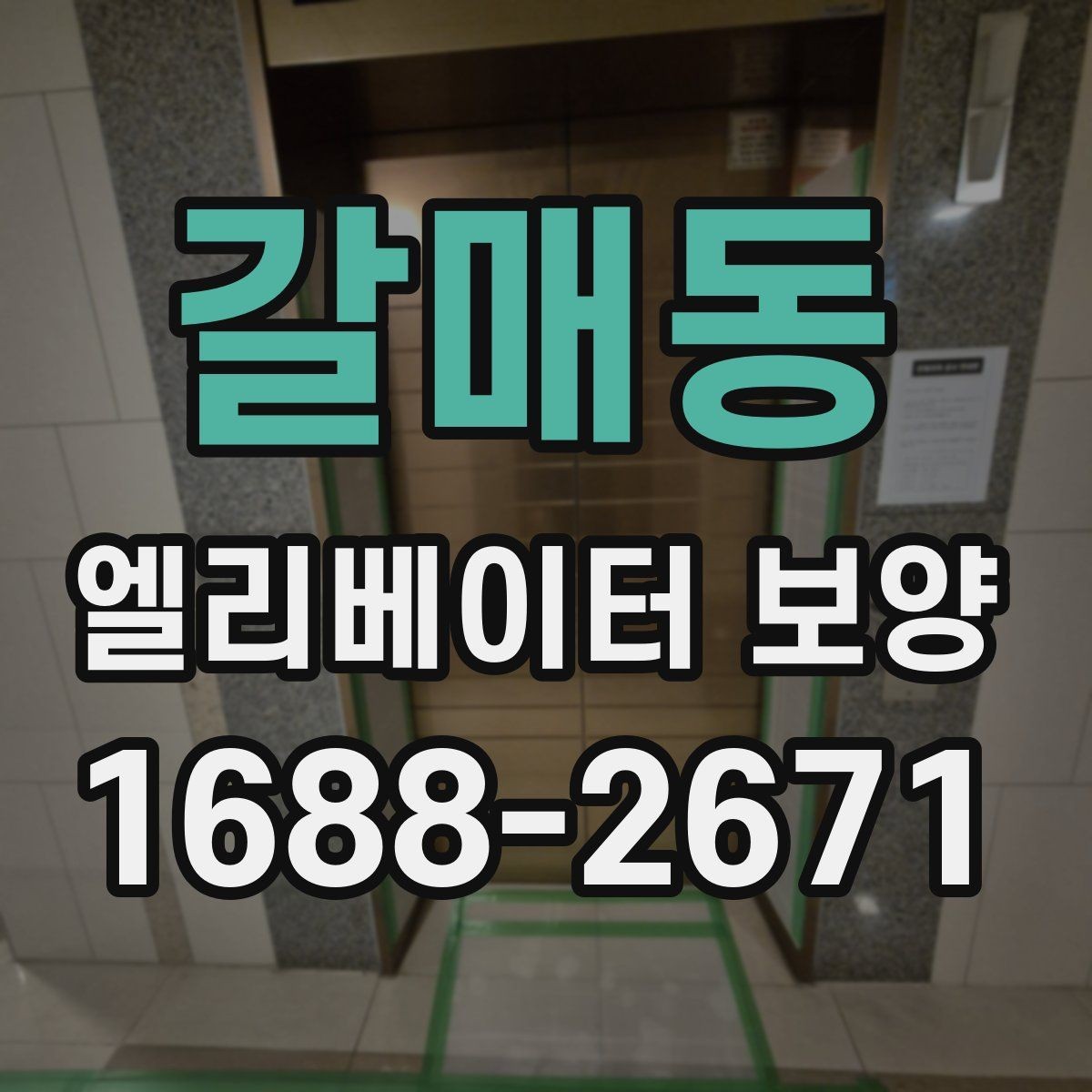갈매동 엘리베이터 보양 자재가 현장에 맞는지 판단하는 법