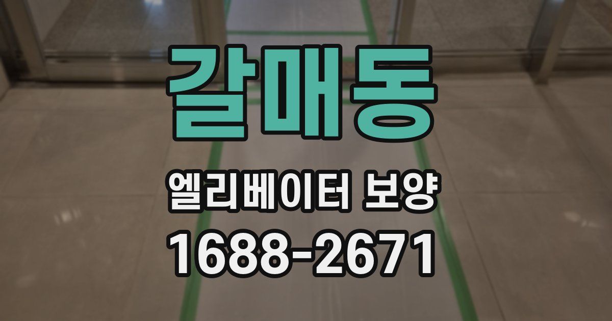 갈매동 엘리베이터 보양