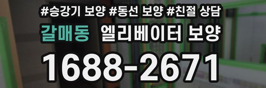 갈매동 엘리베이터 보양